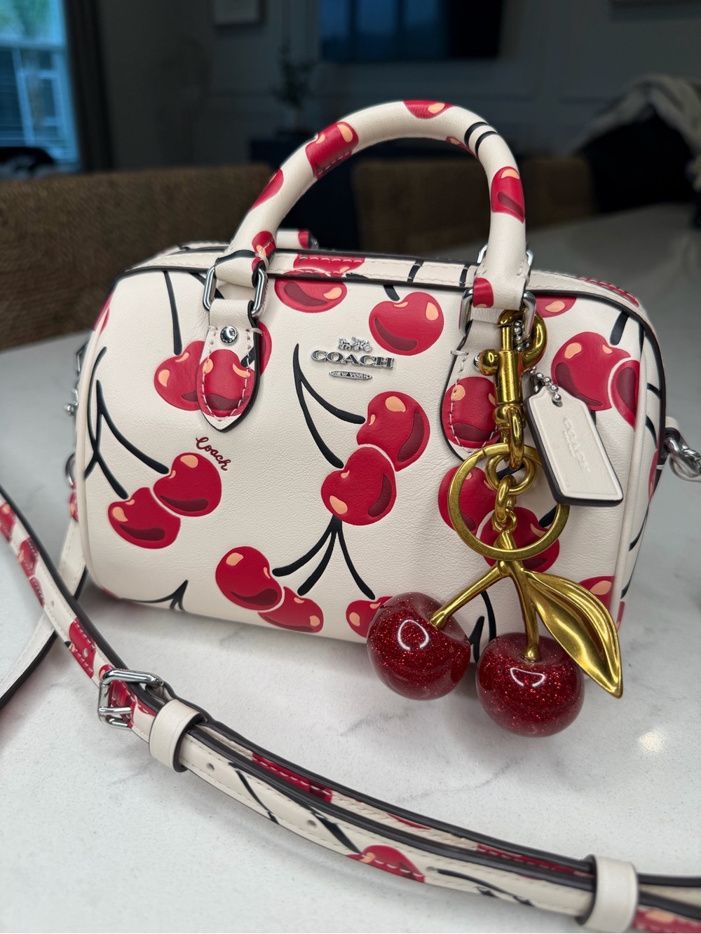 Coach Mini Rowen Cherry Print Bag